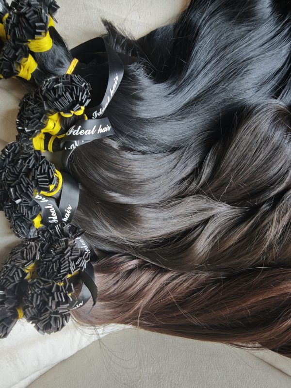 Chestnut/dark brown/natural black/jet black